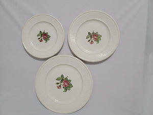 Wedgwood of Etruria & Barlaston Moss Rose Plates
